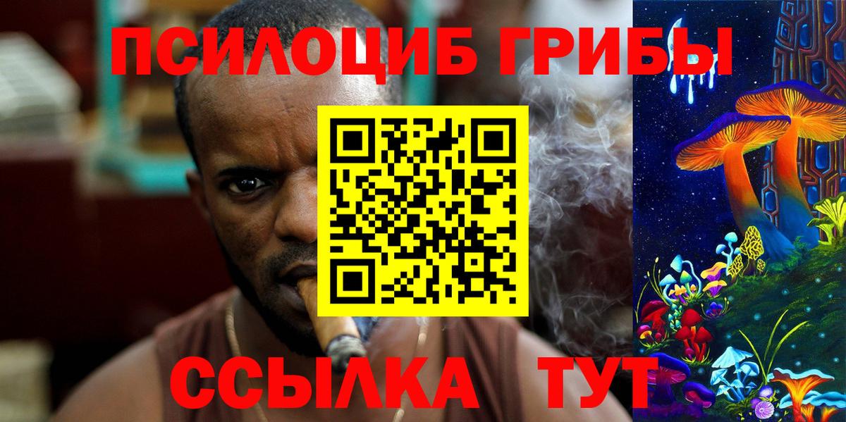 Галлюциногенные грибы Psilocybe Энгельс